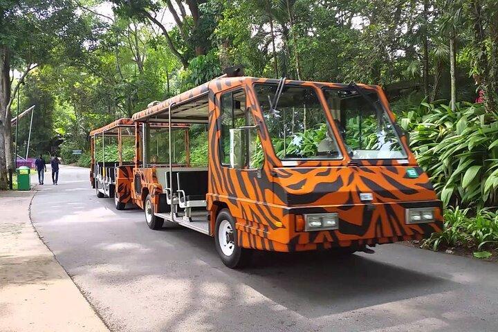 Singapore Zoo with Tram Ride Experience for Tourist