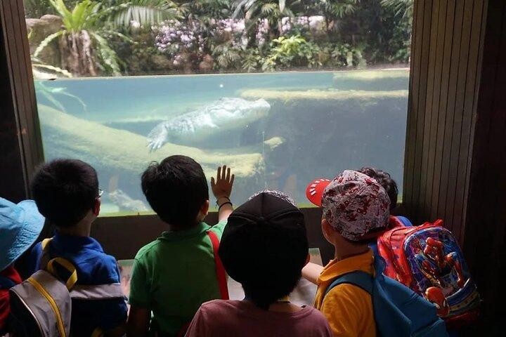 Singapore Zoo with Tram Ride Experience for Tourist