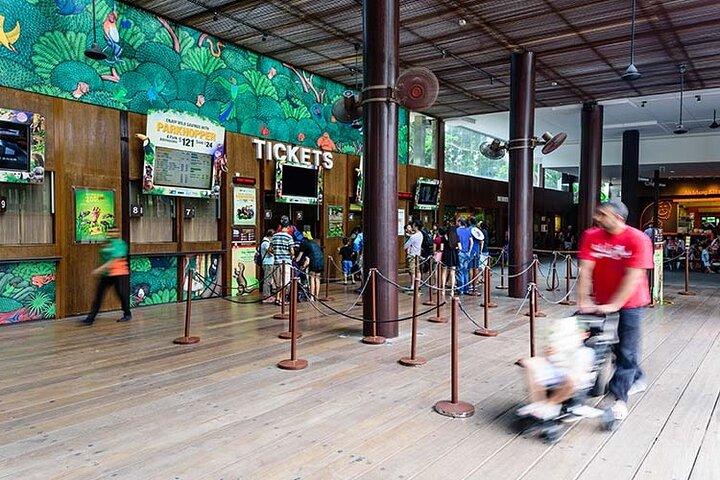 Singapore Zoo with Tram Ride Experience for Tourist