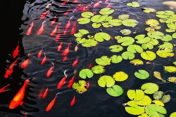 Full Day Private Tour Incredible Hangzhou Highlight