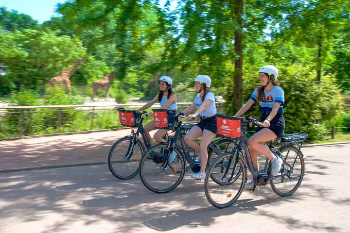 E-bike Tour by ComhiC - The Highlights - 3h