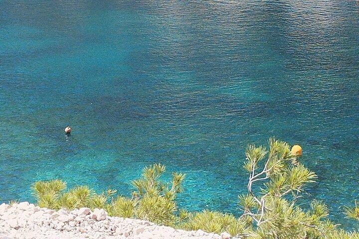 Guided hike in the Calanques National Park