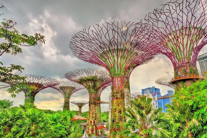 Singapore Highlights Private Bike Tour With A licensed Guide