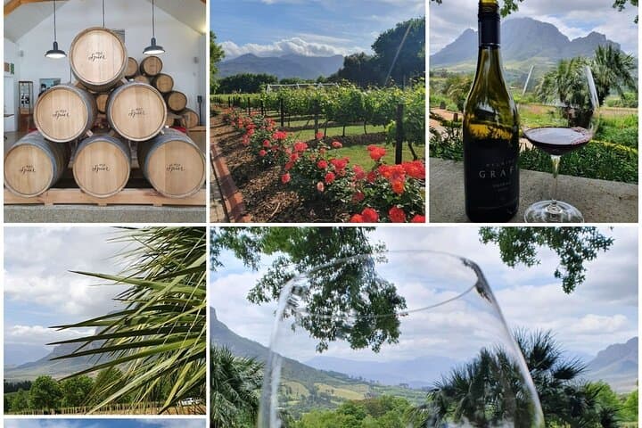 Family Winelands & Wildlife: Stellenbosch and Paarl