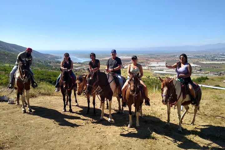 Horseback Mountain Trail Ride