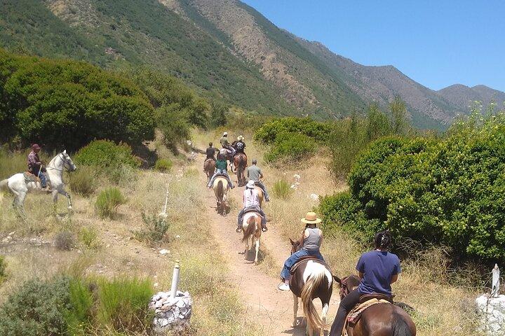 Horseback Mountain Trail Ride