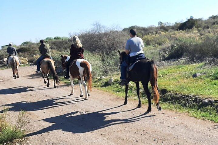 Horseback Mountain Trail Ride