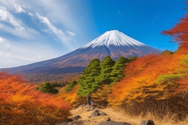 Mt Fuji Private Tour with Native Japanese Driver