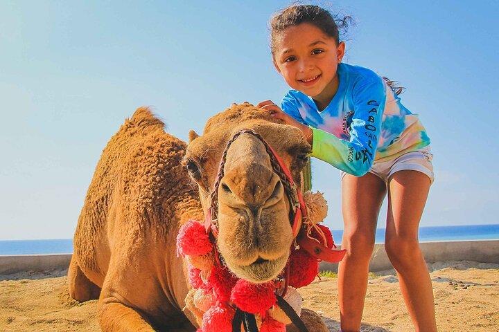 Private Camel Ride Beach Adventure with Unlimited Photo Opps
