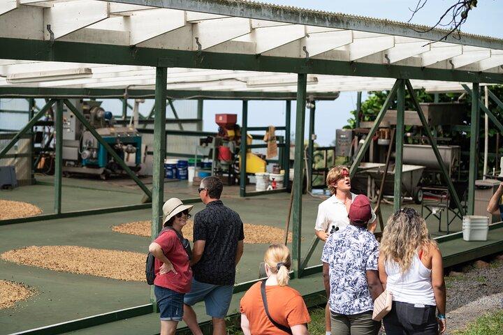 Kona Coffee Farm Tour