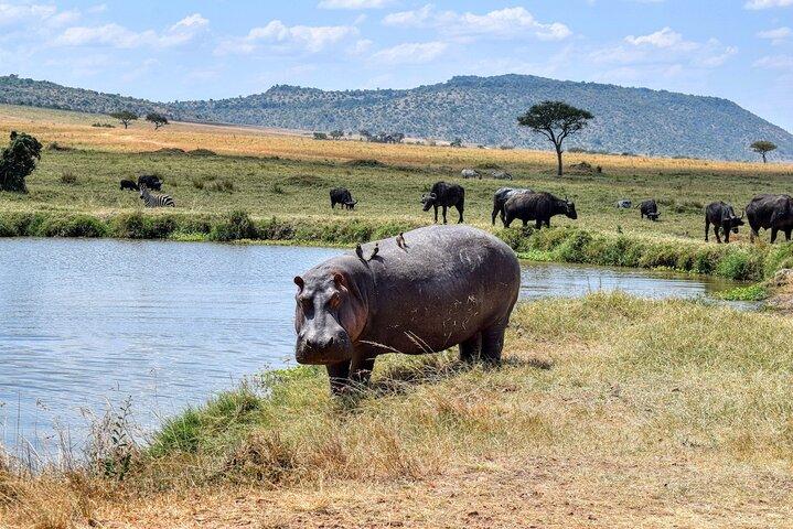 7-Days Private Safari Tour in Kenya
