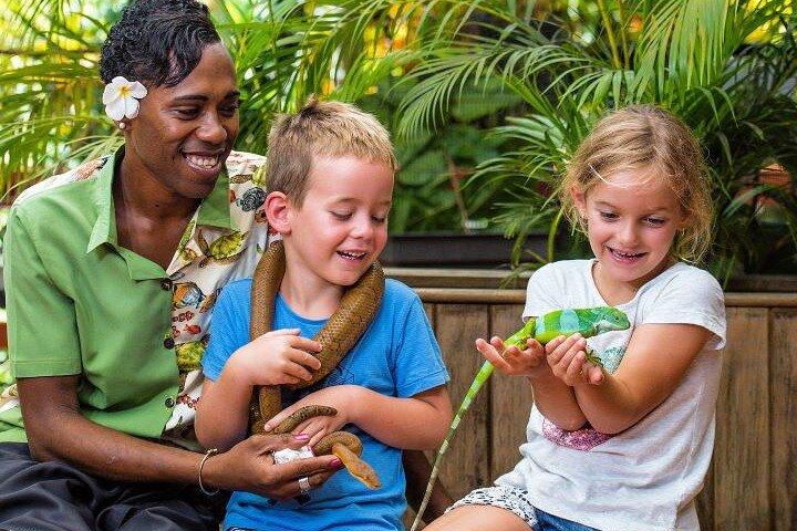 "Discover Fiji's Hidden Gems: Eco Park, Pottery Village & Dunes!"