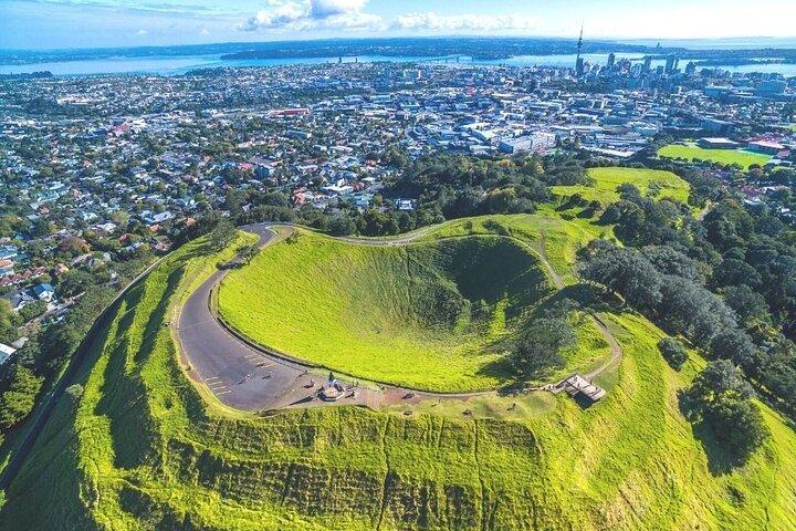 Auckland Private City Tour. Cruise port or Hotel pick up.