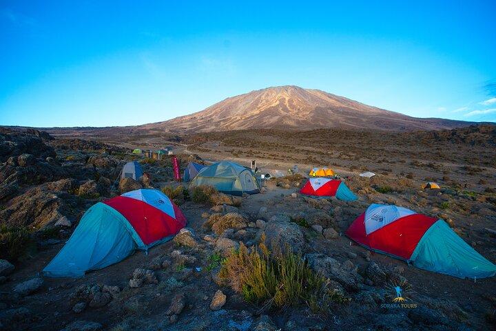 8 Day Kilimanjaro Trek via Lemosho Route