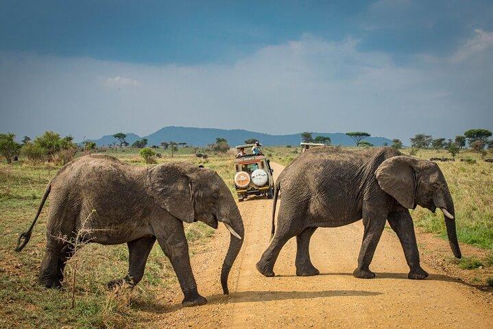 4-Day Private Safari Tour in Tanzania with Guide