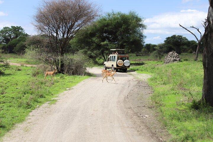 4-Day Private Safari Tour in Tanzania with Guide