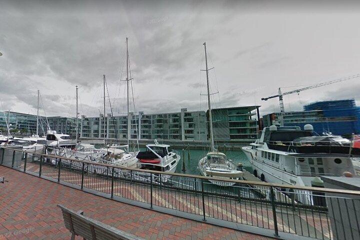 Auckland Private City Tour. Cruise port or Hotel pick up.