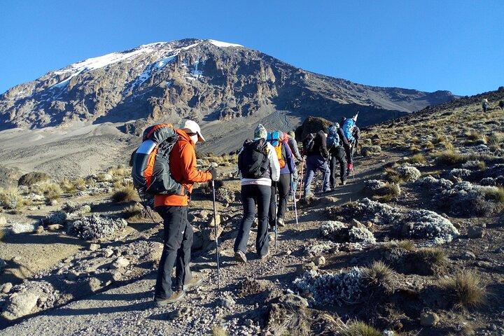 6 Day Private Machame Route Tour with Kilimanjaro Climbing