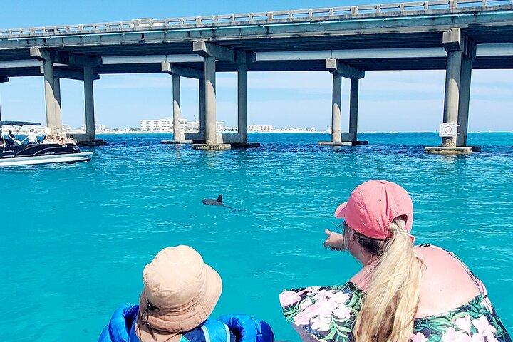 TOP 10 Private Capt Pontoon to Crab Island Choose 3,4,5, or 6 Hr