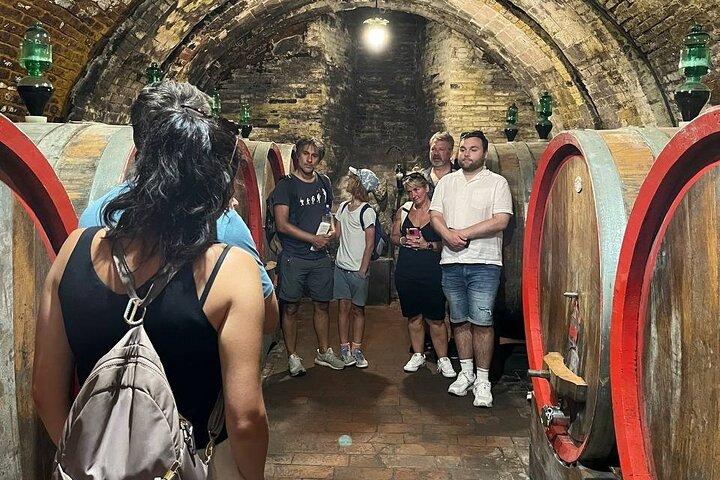Siena, Cortona, Montepulciano & Val D'Orcia in a Small Group Tour