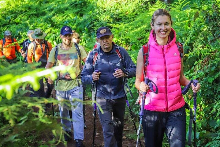 6 Day Private Tour at Kilimanjaro Rongai Route