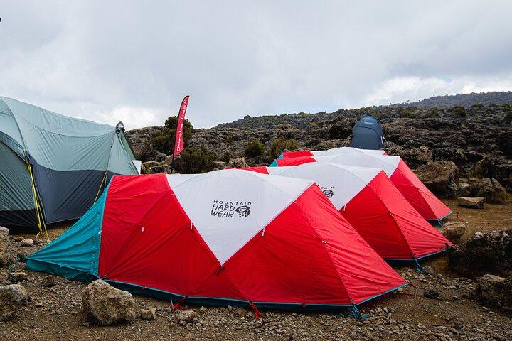 8 Day Kilimanjaro Trek via Lemosho Route