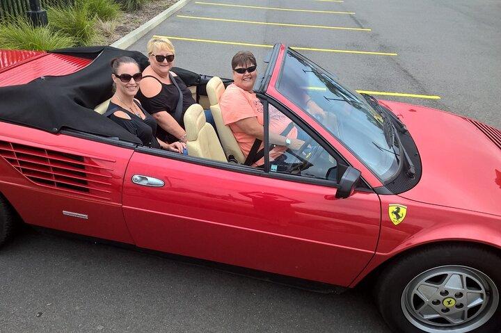 Sydney Bridges and Beaches tour “Vintage Car Ride” Experience