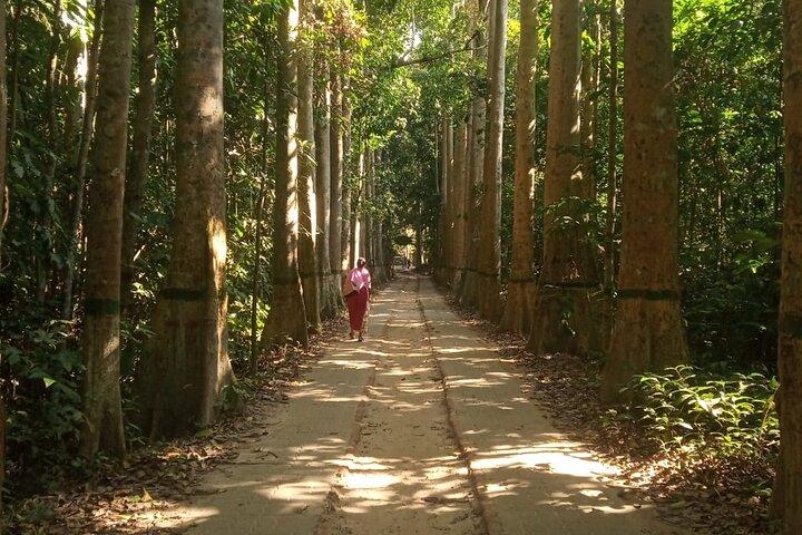 Srimangal nature tour in forest and tea garden