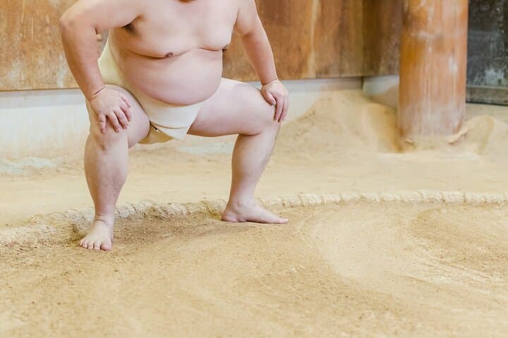 Sumo Training Watching Experience in Tokyo