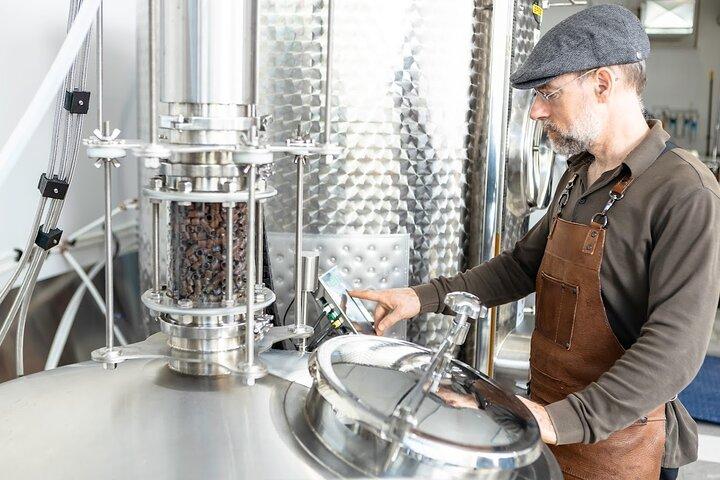 Guided tour « from the bee to the bottle » with tasting - English