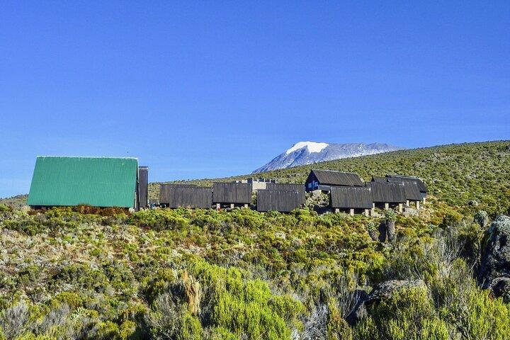 6 Day Private Hiking in Marangu Route
