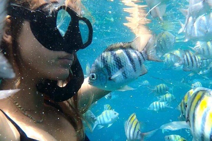 5 Hour Shared Catamaran Day Sail in SXM on The Phoenix