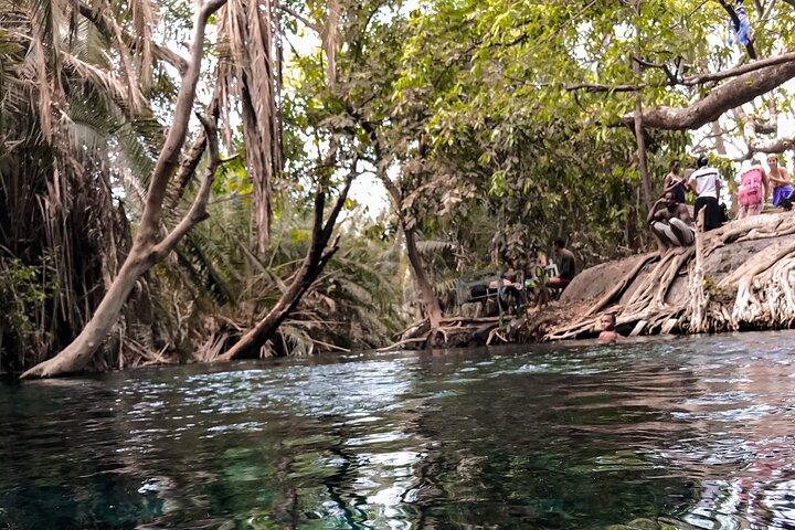 DayTour to Materuni Waterfalls with Coffee & Hotsprings Excursion