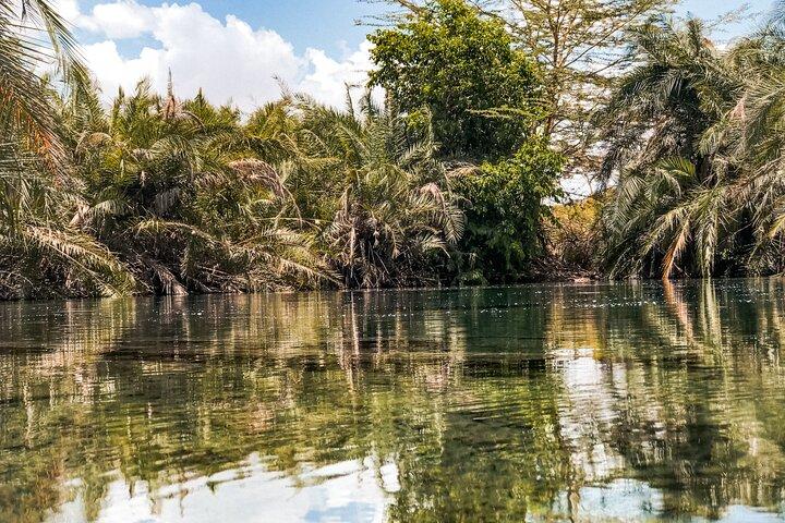 DayTour to Materuni Waterfalls with Coffee & Hotsprings Excursion