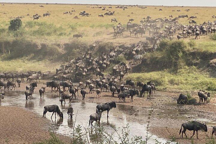 6 Days Private Safari Tour in Kenya