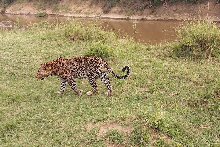 10 Days Private Safari