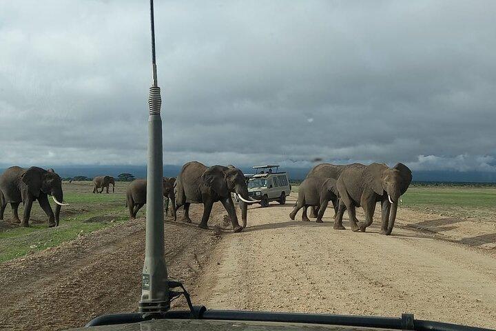 6 Days Private Safari Tour in Kenya