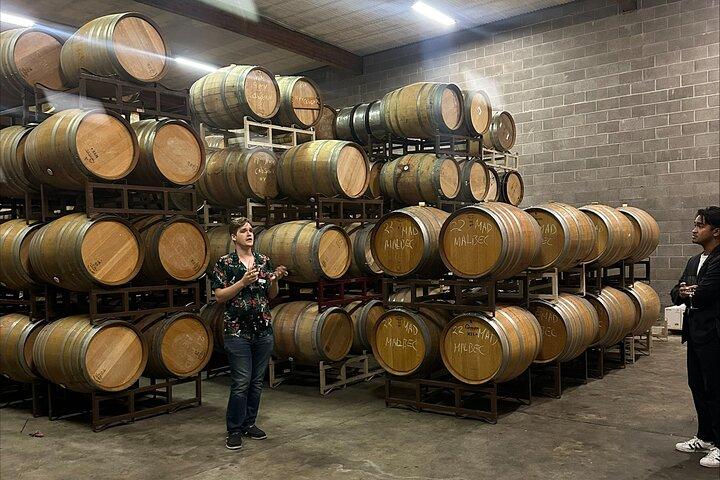 San Francisco: Napa & Sonoma Wine Tour & 48hr Hop-on Hop-off Tour