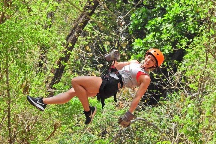 Zip line and Monkey Park Activity at Guanacaste