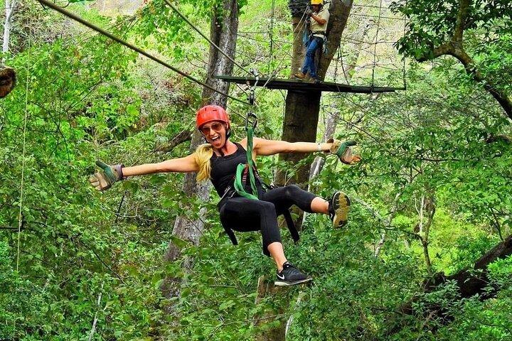 Zip line and Monkey Park Activity at Guanacaste