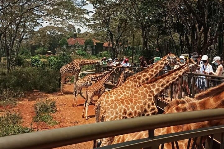 Nairobi Highlights Shared Day Tour by 4WD