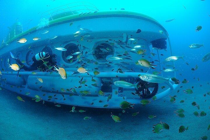 Submarine Tour Tenerife: 1-hour Underwater Experience