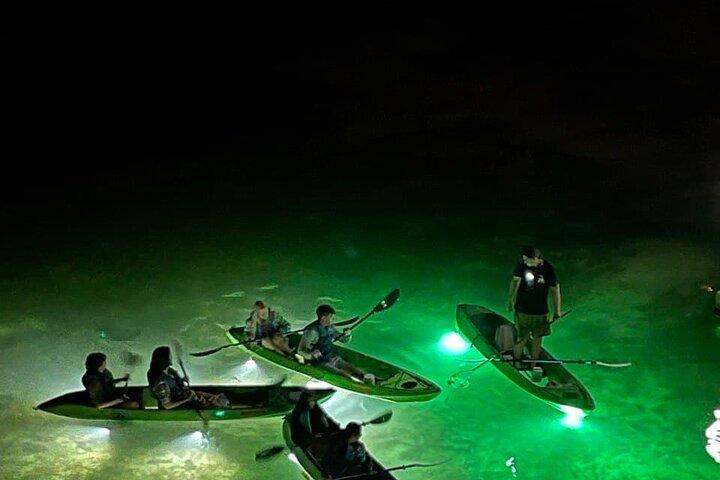 Sharkey's Glass Bottom Fish Feeding LED Night Tour in Clearwater