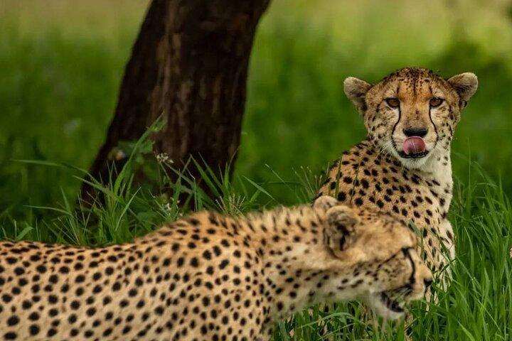 9 Days 8 Nights Walking Safari