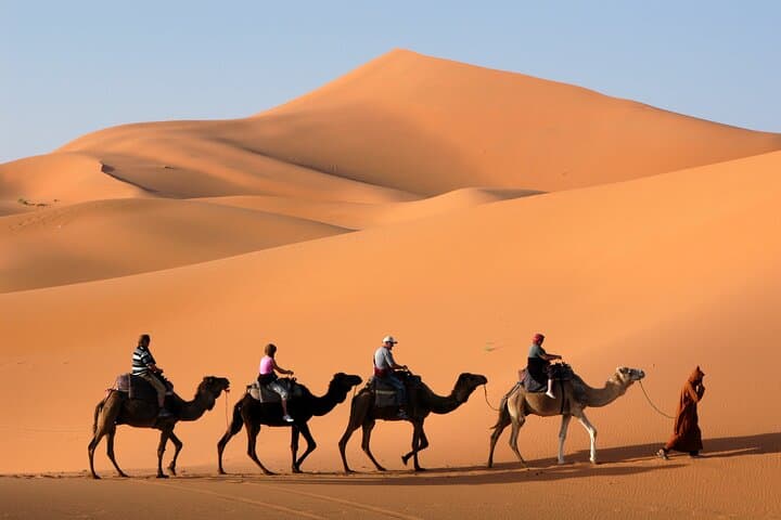 Dubai Morning Desert Safari with Quad Bike sharing Car