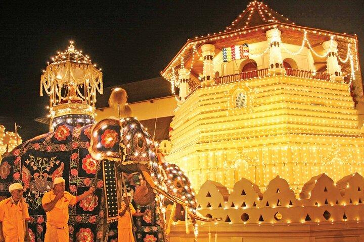 Colombo To Pinnawala & Kandy Luxury Day Tour by Car/Van/Bus