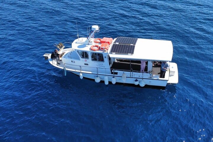 Exciting Fishing Trip in Athens