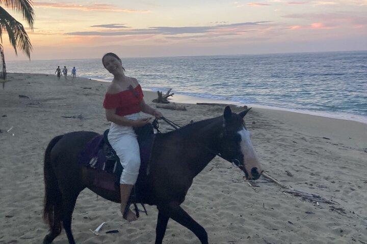 2 Hour Beach Horse Back Riding in Puerto Viejo