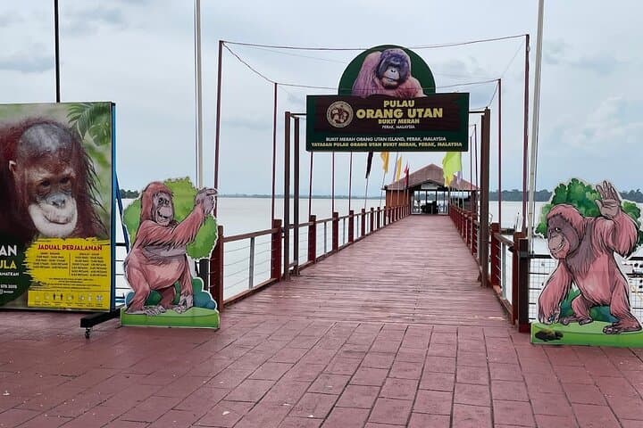 Orangutan Island & Perak Tong Cave Temple Tour from Kuala Lumpur