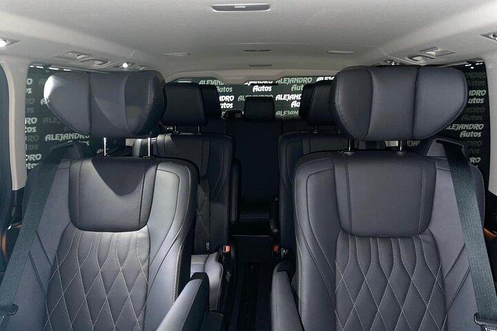 Tokyo by Yourself with English Speaking driver by Van -4 or 8 hrs